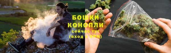 гидра Аркадак