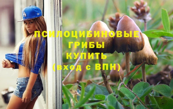 гидра Аркадак