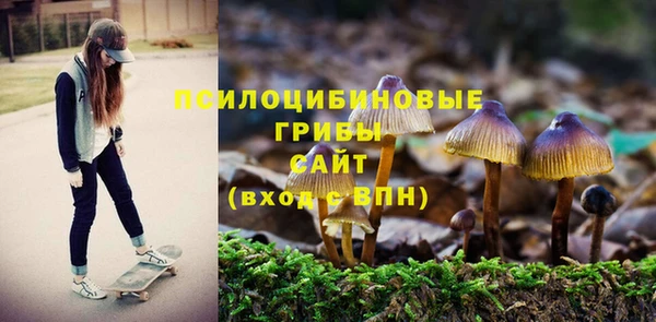 твердый Арсеньев